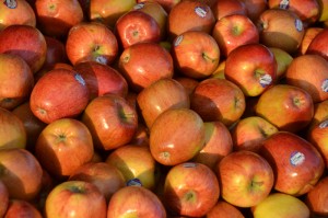 apples webDSC_6152