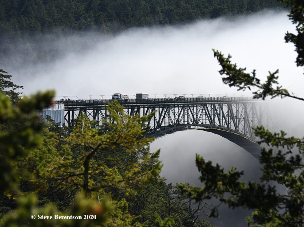 Fog shrouds bridge