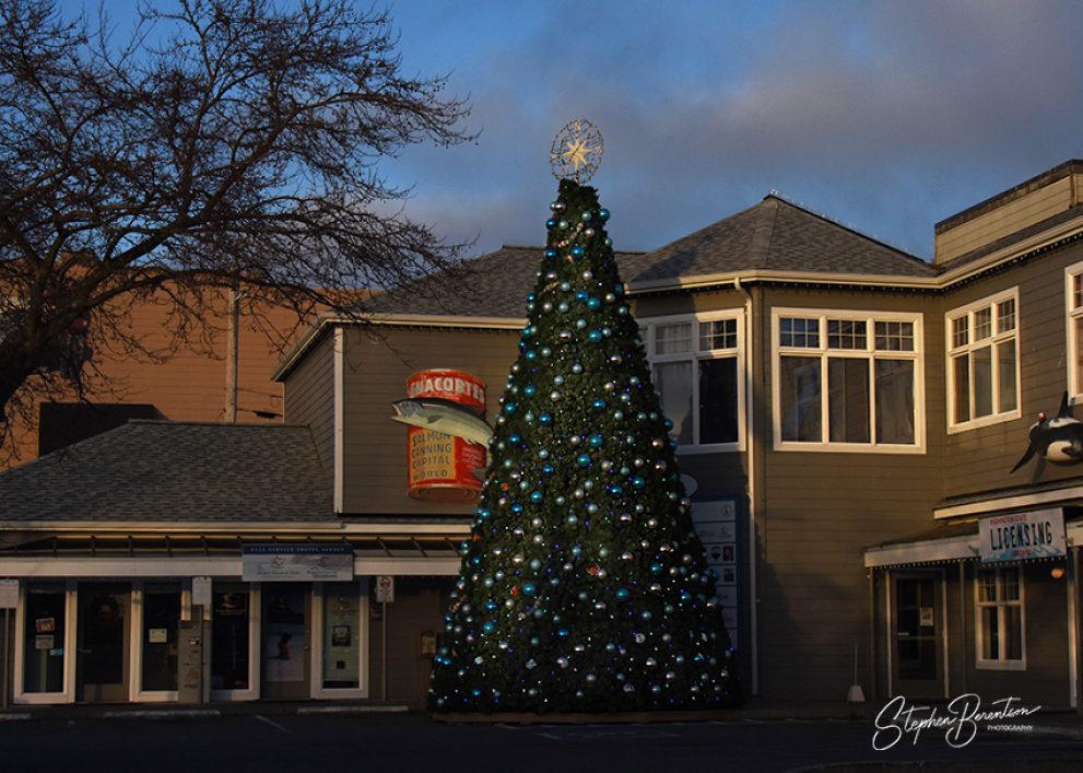 Community Christmas tree