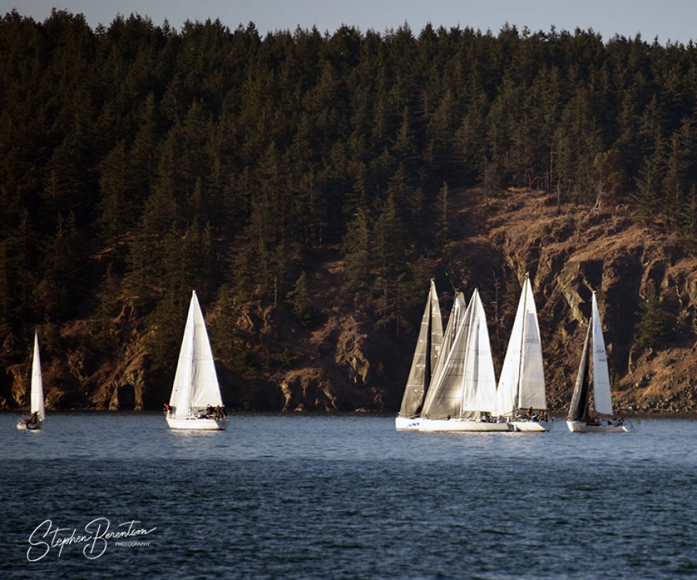 Sailboats gather at the turn