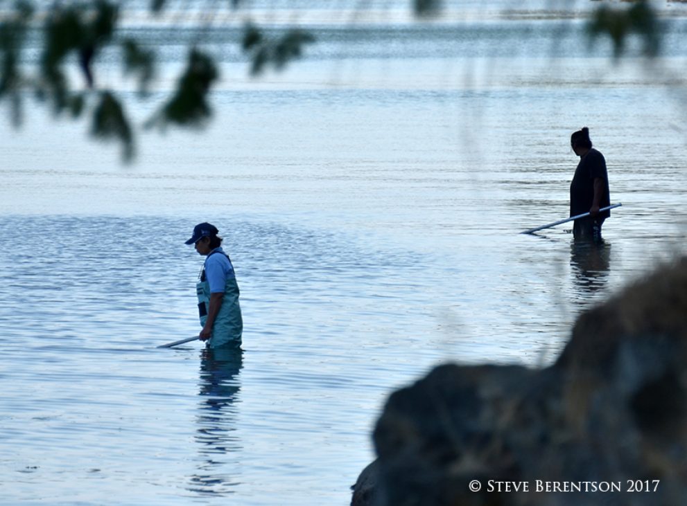 Smelt fishing Fidalgo Bay