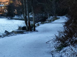 frosty trail webDSC_7087
