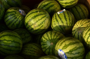 melons webDSC_6154
