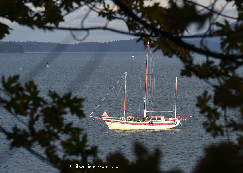 morning light sailboat