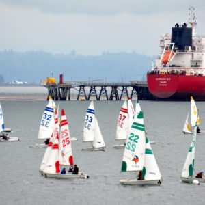 sailboats web DSC_1275